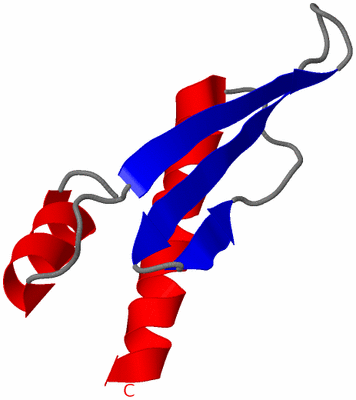 Image NMR Structure - model 1