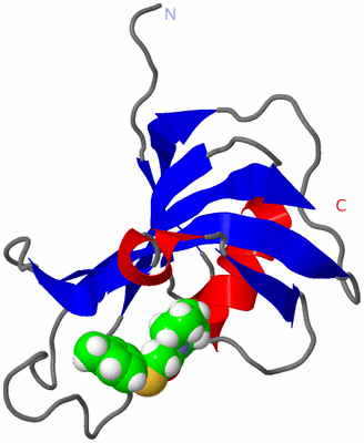 Image NMR Structure - model 1