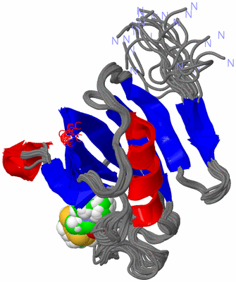 Image NMR Structure - all models