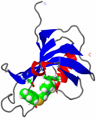 Image NMR Structure - model 1, sites