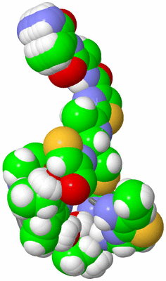 Image NMR Structure - all models