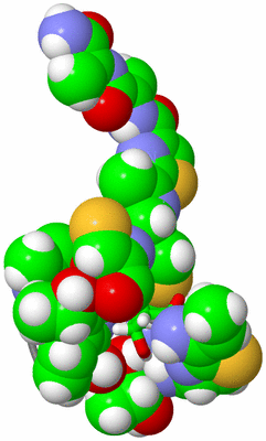 Image NMR Structure - model 1, sites