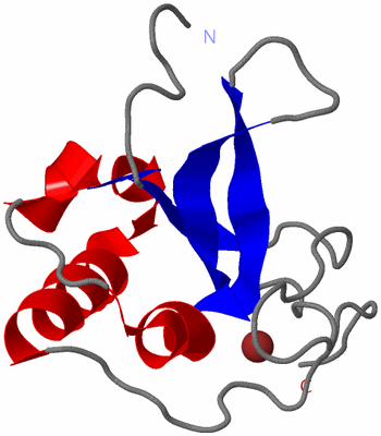 Image NMR Structure - model 1