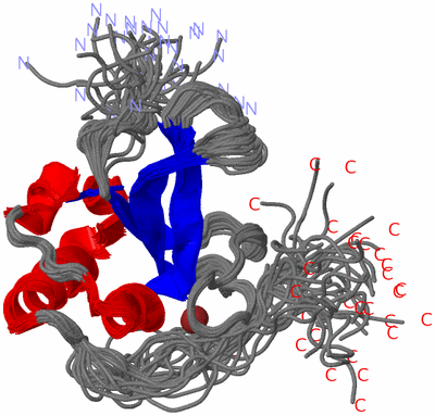 Image NMR Structure - all models