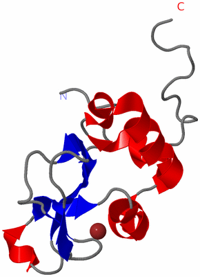 Image NMR Structure - model 1