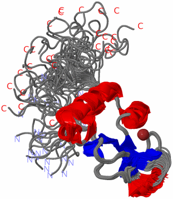 Image NMR Structure - all models