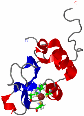 Image NMR Structure - model 1, sites