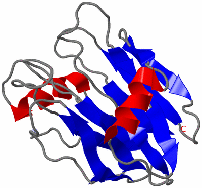 Image NMR Structure - model 1