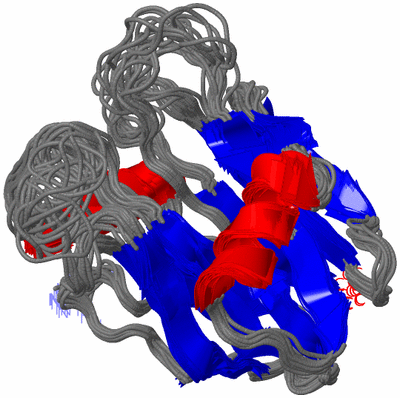 Image NMR Structure - all models