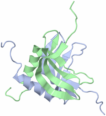 Image NMR Structure - model 1