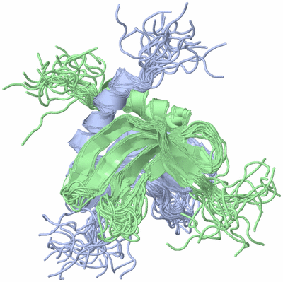 Image NMR Structure - all models