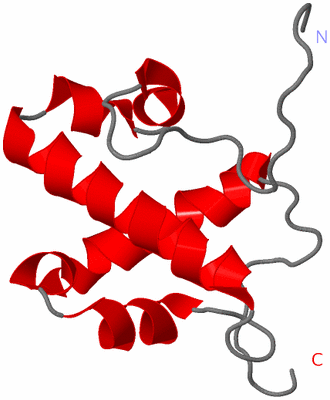 Image NMR Structure - model 1