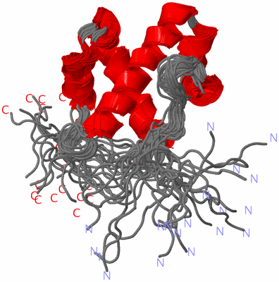 Image NMR Structure - all models