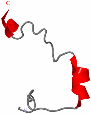 Image NMR Structure - model 1