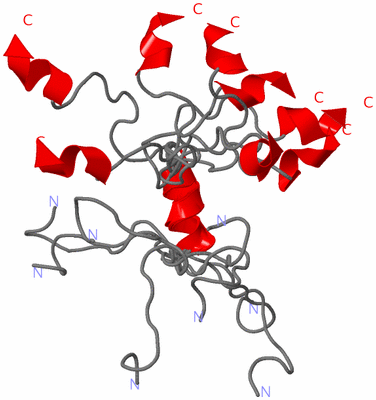 Image NMR Structure - all models