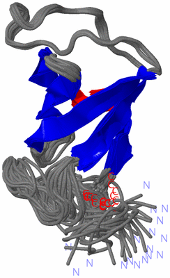 Image NMR Structure - all models