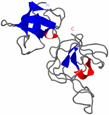 Image NMR Structure - model 1