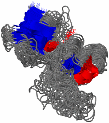 Image NMR Structure - all models