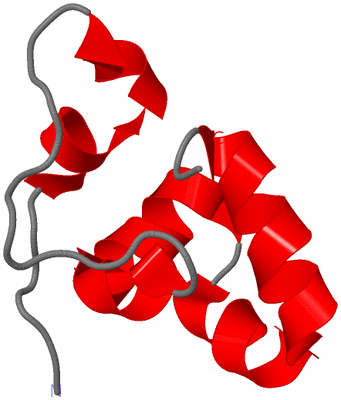 Image NMR Structure - model 1