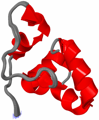 Image NMR Structure - all models