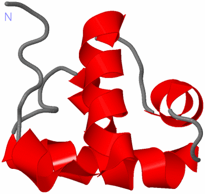 Image NMR Structure - model 1