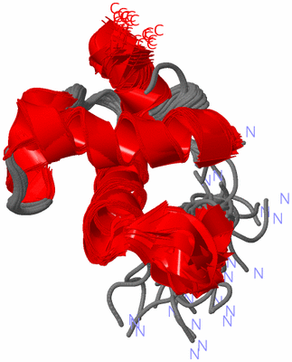 Image NMR Structure - all models