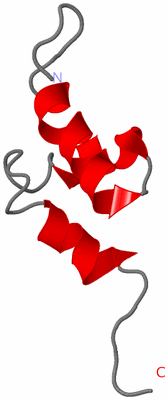 Image NMR Structure - model 1