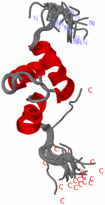 Image NMR Structure - all models