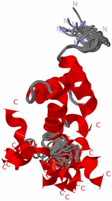 Image NMR Structure - all models