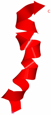 Image NMR Structure - model 1