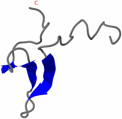 Image NMR Structure - model 1