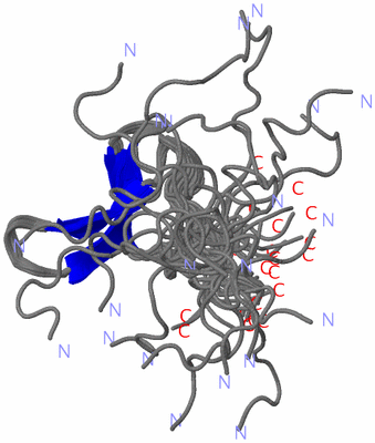 Image NMR Structure - all models