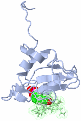 Image NMR Structure - model 1