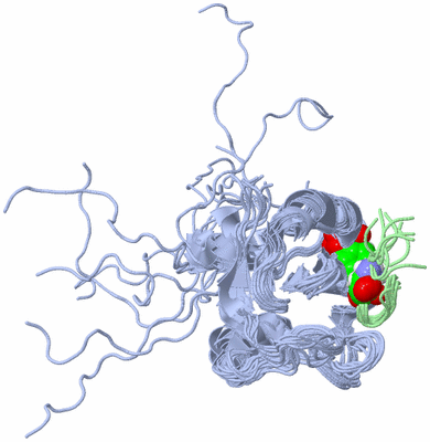 Image NMR Structure - all models