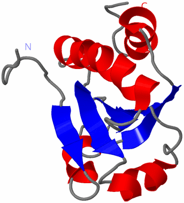 Image NMR Structure - model 1