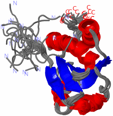 Image NMR Structure - all models