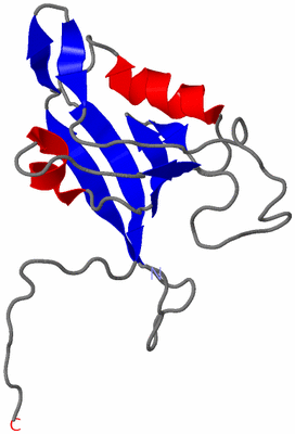 Image NMR Structure - model 1