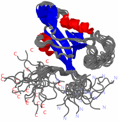 Image NMR Structure - all models