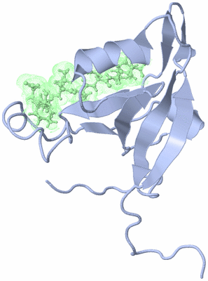 Image NMR Structure - model 1