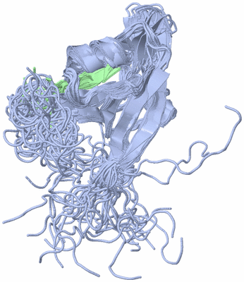 Image NMR Structure - all models