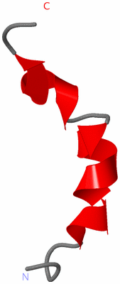 Image NMR Structure - model 1