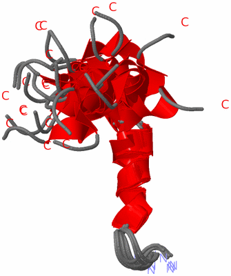 Image NMR Structure - all models