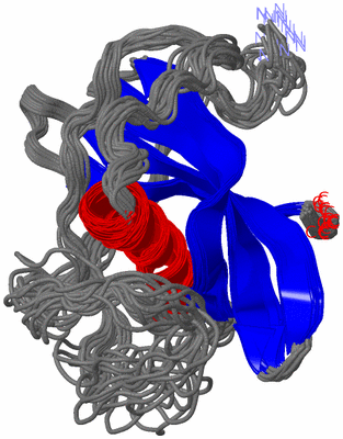 Image NMR Structure - all models