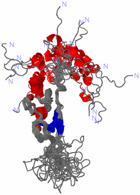 Image NMR Structure - all models