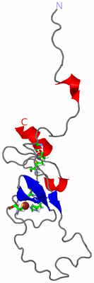 Image NMR Structure - model 1, sites