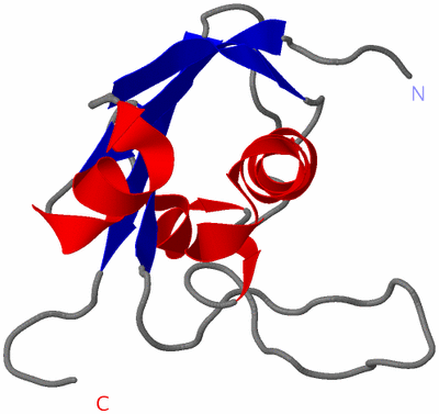 Image NMR Structure - model 1