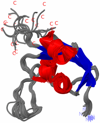 Image NMR Structure - all models