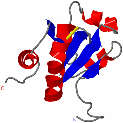 Image NMR Structure - model 1