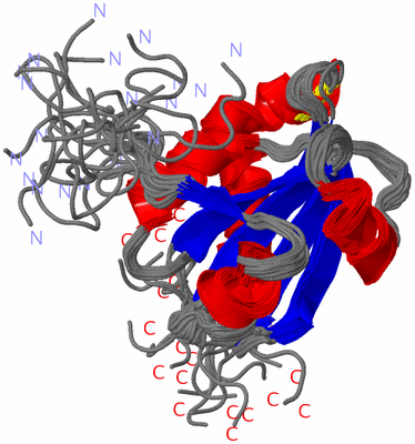 Image NMR Structure - all models