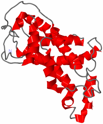 Image NMR Structure - model 1